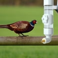 Sezcxlgg Fly Trap(Clearance),Automatic Water Dispenser for Birds Firing