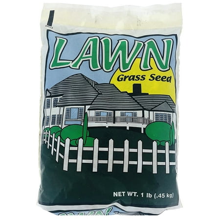 Shade Master - Planting Lawn Grass Seed Grows in Shade Barren Soil Areas Sun Light Need - 1 lb.