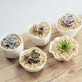 thumbnail image 3 of SEWOART Succulent Plant Flowerpot, White Ceramic Planter, Nordic Style, Home and Office Use, 3Pcs, 3 of 8