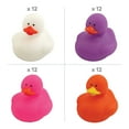 thumbnail image 4 of Fun Express 2" Bulk 108 Piece Colorful Rainbow Rubber Duck Assortment, 4 of 4