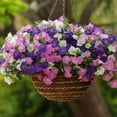 thumbnail image 3 of 100 Graines de Pétunia Suspendues pour Balcon, Jardin, Cour Extérieure, 3 of 3