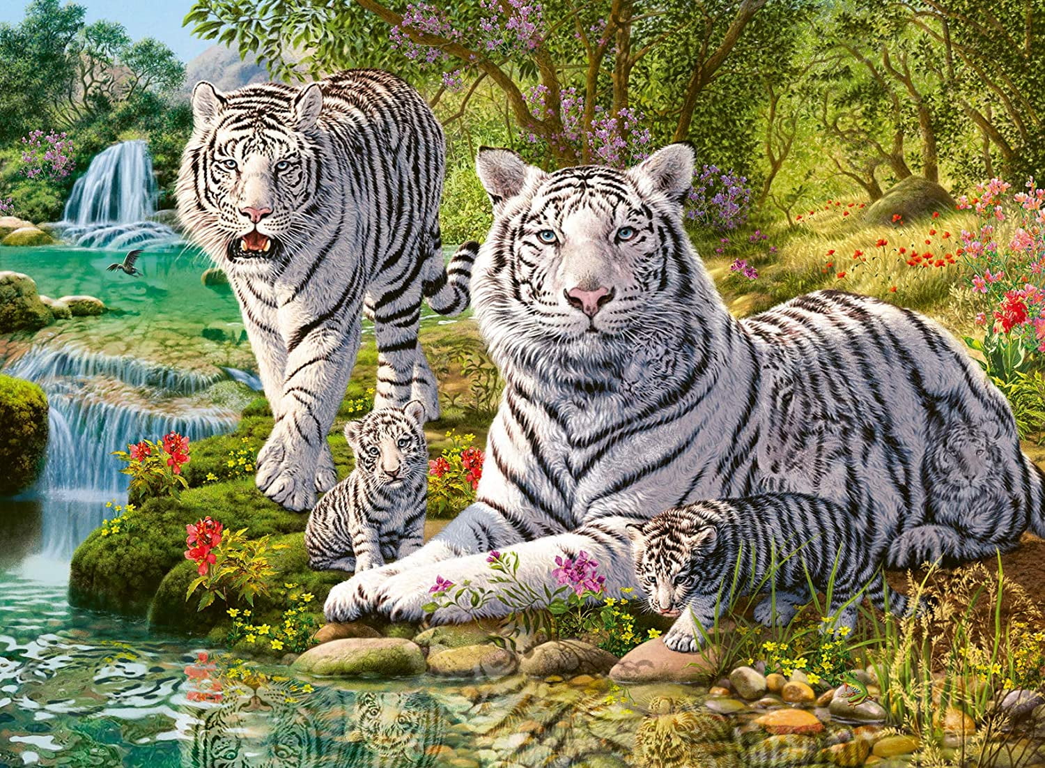Ravensburger (14742) - Tiger in the Jungle - 500 pieces puzzle