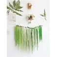 thumbnail image 6 of Triani 5Pcs Natural Dye Light Green 16-28 Inch Real Amaranthus Hanging Dried Floral Garland for Home Decor Wedding Bouquet Home Wall Decor(Light Green), 6 of 6