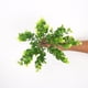 thumbnail image 1 of Bearachild Flores artificiales colgantes de pared de plantas de plástico para exteriores, tamaño compacto, ahorro de espacio funcional, decoración del Decoración Verde Bearachild HA070461-01, 1 of 6