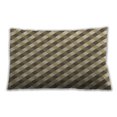 thumbnail image 1 of Ahgly Company Outdoor Rectangular Contemporary Lumbar Throw Pillow, 13 inch by 19 inch, 1 of 5