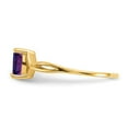 thumbnail image 2 of Auriga Fine Jewelry 14K Yellow Gold Amethyst Birthstone Ring for Women Size- 7, 2 of 6