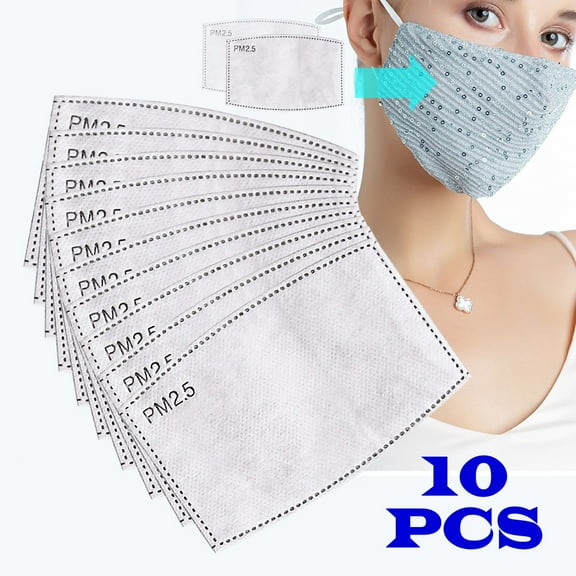 PM2.5 Filters - 10 PCS