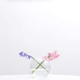 thumbnail image 4 of Jarrón de vidrio WGV, diámetro 15 cm, altura 11,5 cm, transparente, 4 of 7