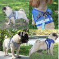 thumbnail image 4 of Cat Harness, Cat Harness Escape Proof, 4 of 5