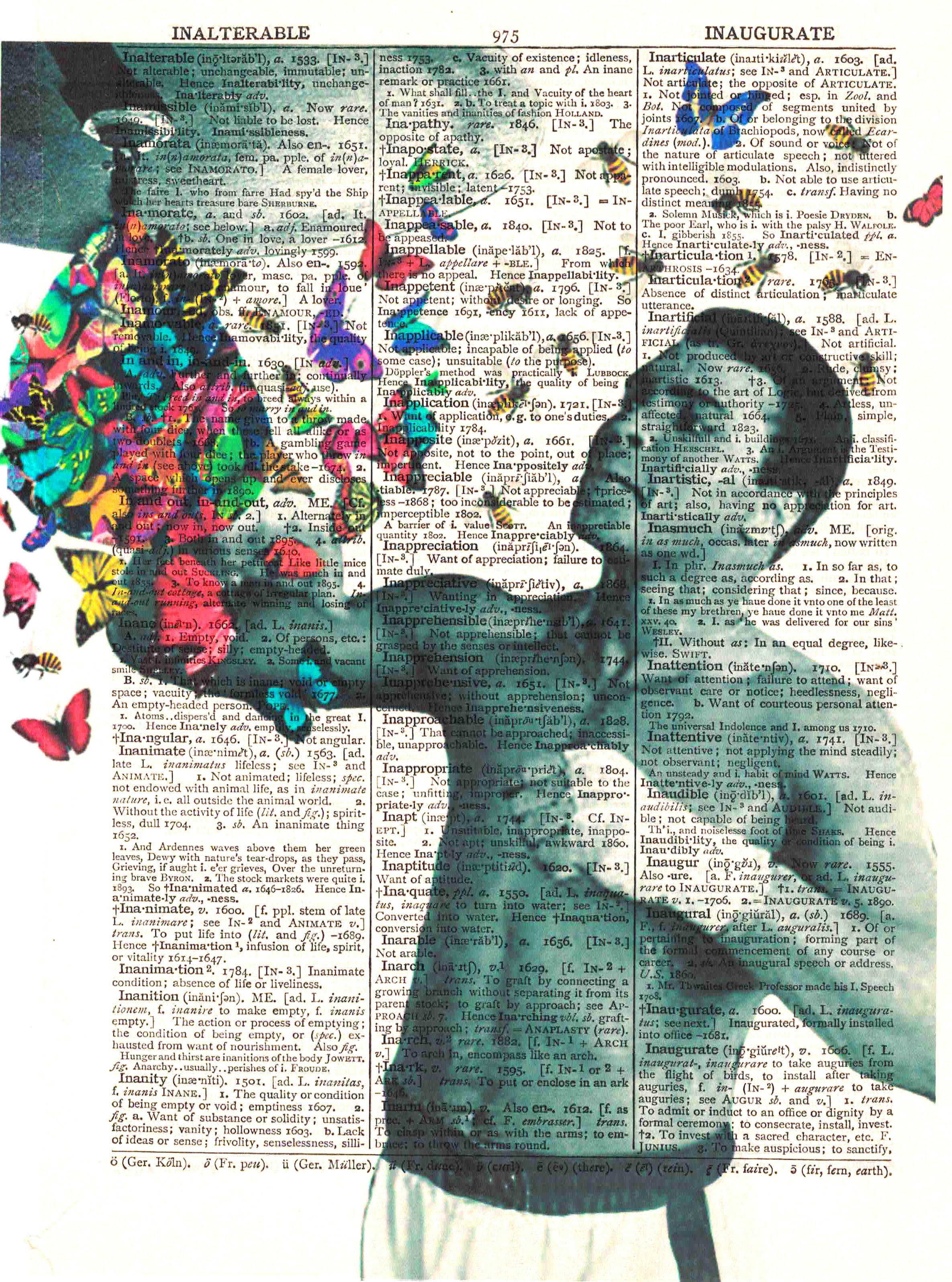 Art N Wordz Muhammad Ali Float Like A Butterfly Sting Like A Bee Dictionary Page Print Pop Art Wall Desk Poster Walmart Com