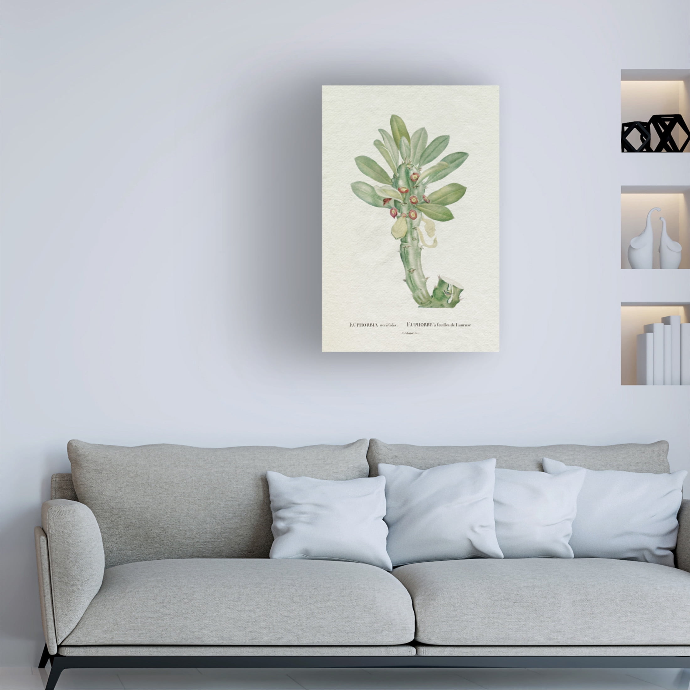 Trademark Fine Art Pierre Redoute  Redoute Succulent VI Canvas Wall Art