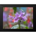 thumbnail image 2 of Fitzharris, Tim 18x14 Black Modern Framed Museum Art Print Titled - Blue Mist Penstemon, 2 of 5