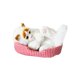thumbnail image 1 of La Simulación de Regalos de Oficina Peludo Realista Meowing Kitty Muñeca, Estante de la Oficina Del Hogar Decoración de Coches Ornamentos Juguetes para Niños, 1 of 8