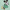 Mickey Mouse, variant on Character Toddler St. Patrick’s Day Pajama Set, 2-Piece, Sizes 12M-5T