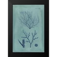thumbnail image 2 of Vision Studio 13x18 Black Modern Framed Museum Art Print Titled - Indigo and Azure Seaweed VII, 2 of 5