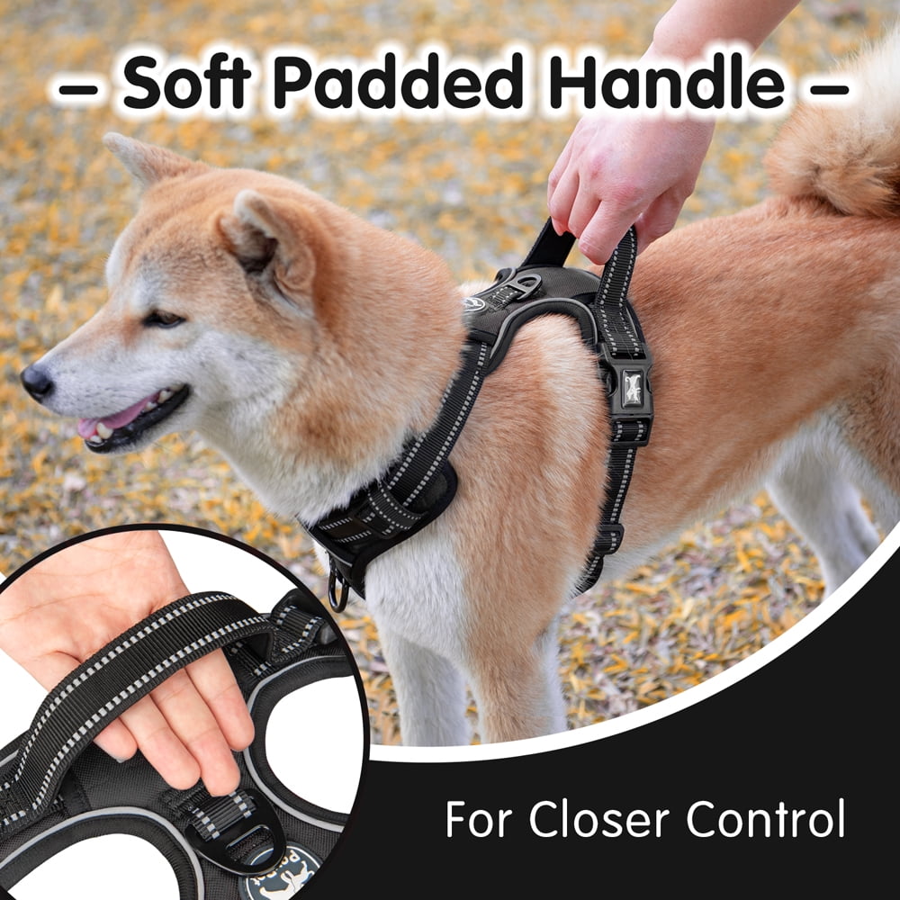 PoyPet Dog Harness and Leash Combo, Escape Proof No Pull Vest Harness, Reflective Adjustable Soft Padded Pet Harness with Handle for Small to Large Dogs