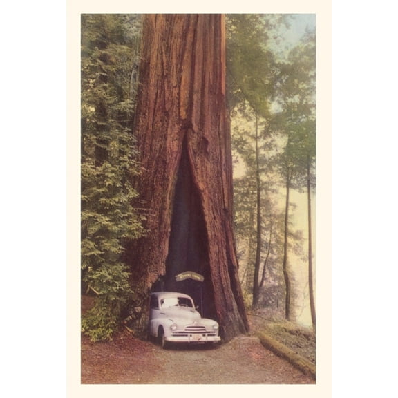 Pocket Sized - Found Image Press Journals: Vintage Journal Redwood and Old Car (Paperback)