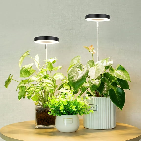 Plant Grow Light, LED Growing Light for Indoor Plants, Full Spectrum Desk Growth Lamp w/ Automatic Timer(3/9/12Hrs) & Height Adjustable, 10 Dimmable Brightness for Small Plants, 2 Packs, Black