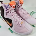 Milty Color Nike LeBron IX Regal Pink / Multi - Color DJ3908-600 Men's Size 10.5 ...