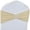 Champagne, variant on Spandex Chair Sashes Bows 30PCS Premium Stretch Chair Cover Band with Buckle Slider Universal Elastic Chair Ties for Wedding Party Ceremony Reception Banquet Decoration (Metallic Silver)