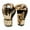 10oz Gold, variant on BLEEUS Muay Thai Competition Gloves Pu Leather Sponge Boxing Gloves Fitness Supplies (6OZ Silver)