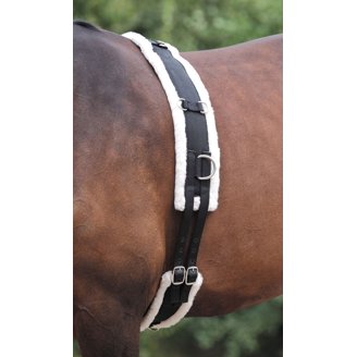 Sangles De Remplacement Ajustables Pour Couverture De Cheval - 2" De Large, Noir - Marque Challenger