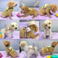 thumbnail image 2 of Arnés para perros sin correas pequeñas para mascotas con anillo en D de metal, sin arneses de estrangulamiento, 2 of 5