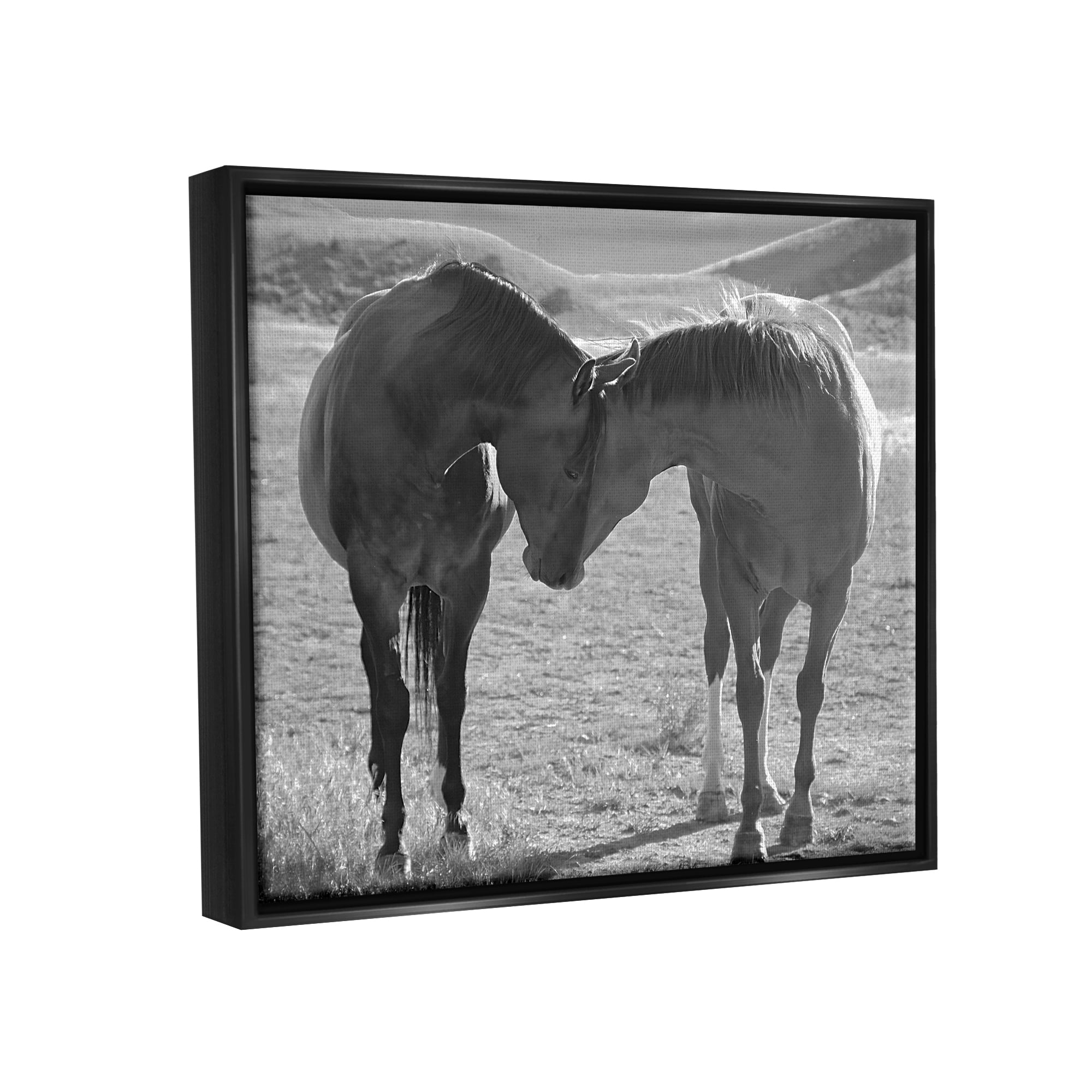 Stupell Industries Horses Hugging Photography Animals & Insects Photography Black Floater Framed Canvas Art Print Wall Art, 21 x 17