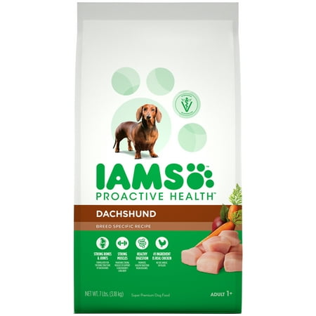 Iams Proactive Health Adult Dachshund Dry Dog Food, Chicken Flavor, 7 Pound (Best Dog Food For Dachshunds)
