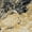 Ivory Multicolor, variant on Nourison Passion Abstract Blue Multicolor 5'3" x 7'3" Area Rug (5x7)