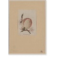 thumbnail image 2 of Historic Framed Print, [Japanese drawing] - 47, 17-7/8" x 21-7/8", 2 of 9