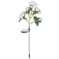 thumbnail image 1 of Fiudx Luces Solares Románticas para Jardín de Rosas, Linterna Resistente E Impermeable, Panel Solar Mejorado, Camino de Larga Duración y Luz Nocturna, Regalo de Decoración para Exteriores, Ahoro de E, 1 of 1