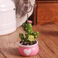thumbnail image 5 of SPRING PARK Artificial Mini Cactus Bonsai Table Decor Photo Holder Memo Clip Name Place Card Table Number Picture Note Stand, 5 of 7