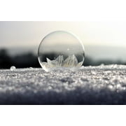 Angle View: Peel-n-Stick Poster of Frozen Frozen Bubble Soap Bubbles Frost Poster 24x16 Adhesive Sticker Poster Print