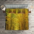 thumbnail image 2 of Ambesonne Fall Quilted Coverlet 3 Pcs, Pathway into the Forest, King Size, Yellow Brown, 2 of 2