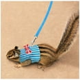 thumbnail image 2 of Small Pet Outdoor Walking Harness Vest and Leash Set with Cute Bowknot Decor Chest Strap Harness for Rat Ferret Squirrel Hamster Clothes Accessory, 2 of 6