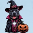 thumbnail image 3 of CafePress - Costumed Pitbull Halloween Infant T Shirt - Infant T-Shirt, 3 of 4