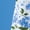 Blue, variant on Collections Etc Women's 2-Pack Comfortable Printed Henley-Style Short Sleeve Nightgown Blue Large