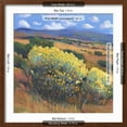 thumbnail image 5 of Art.com Chamisa I Art Print by Tim OToole, Brown Frame Wall Art, 21" x 21", 5 of 5