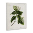 thumbnail image 3 of Stupell Industries Cottage Canvas Art, 30 x 40, by Tina Higgins Designs Inc., 3 of 8