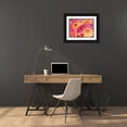 thumbnail image 3 of Gulin, Sylvia 24x19 Black Ornate Wood Framed with Double Matting Museum Art Print Titled - Washington State-Sammamish Dahlia flower design and patterns, 3 of 4