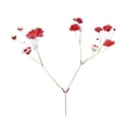 thumbnail image 2 of 12Pcs Pressed Dried Flowers for DIY Arts Crafts Resin Jewelry Making Accessory, 2 of 7