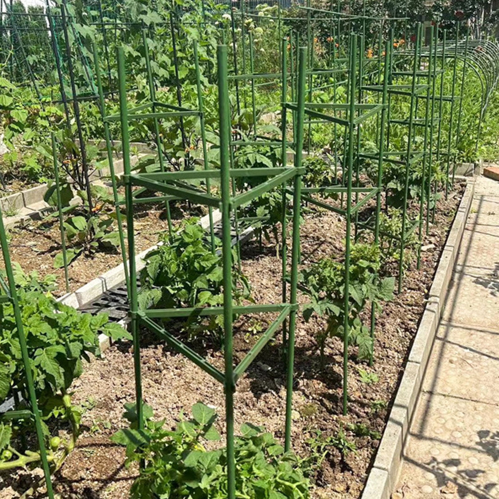 Tomato Cage VEVOR Lot De 6 Cages A Tomates Pour Jardin, 122 Cm, Support Pour Plantes En Treillis