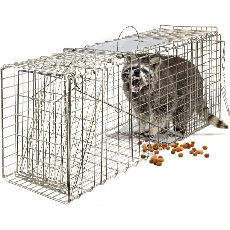 Small or large live animal trap cage?