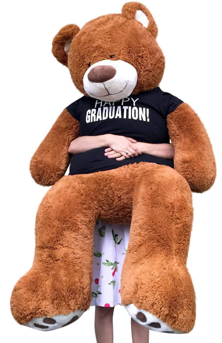 graduation teddy bear walmart