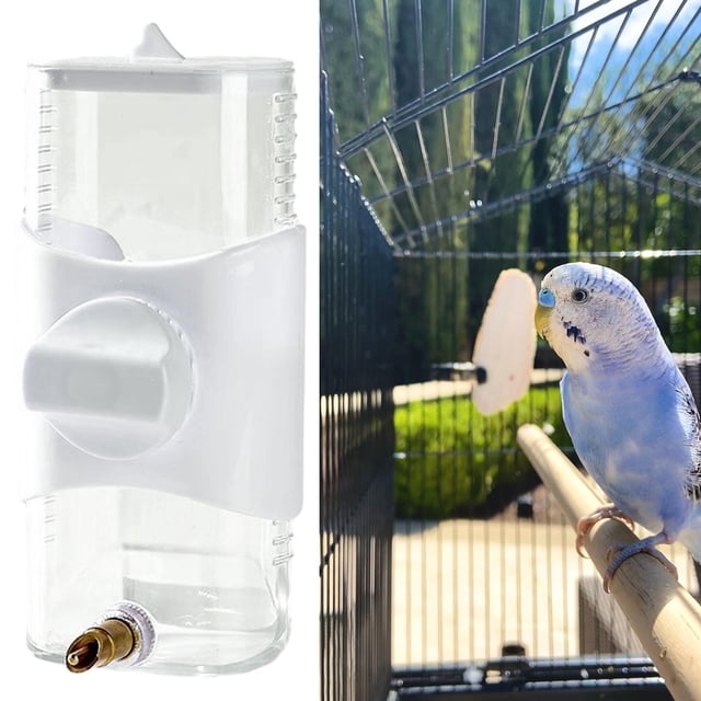Bebedero para pájaros, bebedero para loros, dispositivo de almacenamiento para beber, tetera, jaula, accesorios para cacatúas, pájaros medianos, masco Blanco