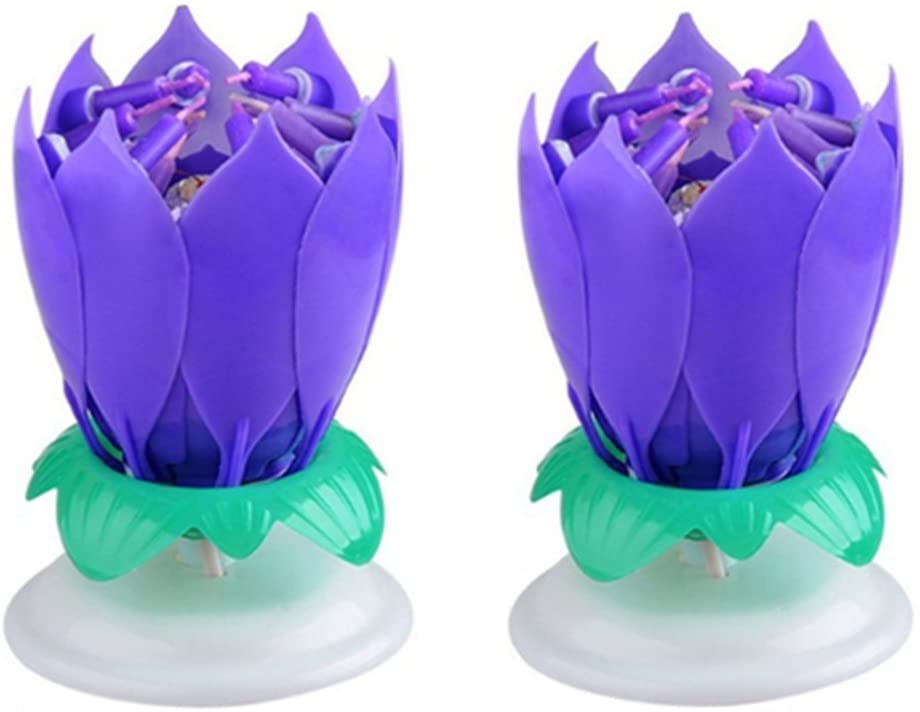 Music Birthday Candle Two Layers with 14 Small Candles Amazing Musical