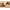 Gold, variant on Comfortview Women's The Paula Slip On Sandal