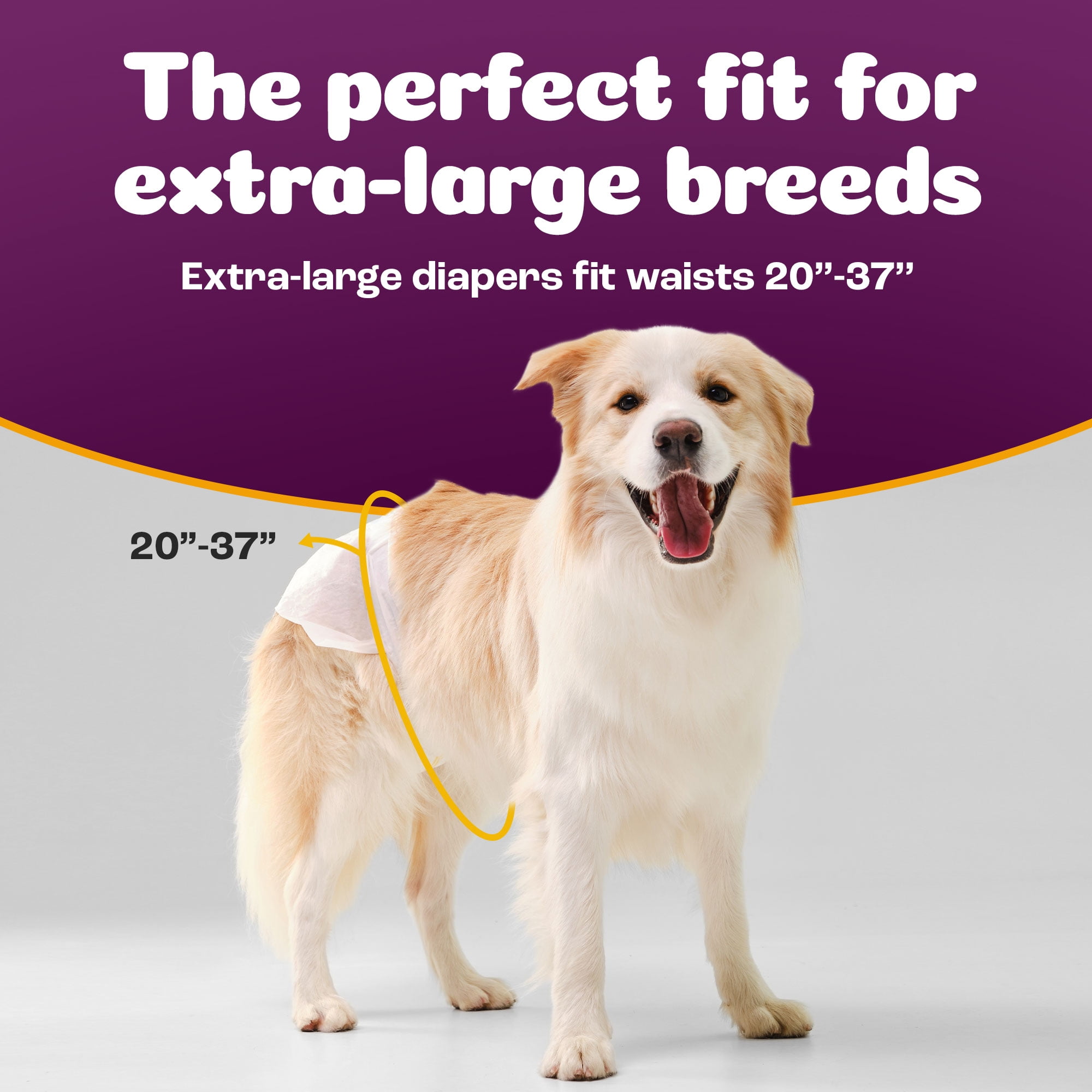 Inspire Pet Care Dog Diapers Female | Bulk Value Doggie Diapers for Female Dogs, Incontinence Female Dog Diapers for Heat or Pee Disposable Dog Diapers (X-Large (28 Count))