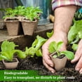 thumbnail image 6 of weibbin Biodegradable Seed Starter Tray 10 Pack 6.5x5 Inch, Paper Pulp Planting Pots, Germination Box for Garden, 6 of 6